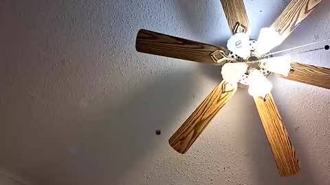 Jan and Man online show from February 1, 5:15 am