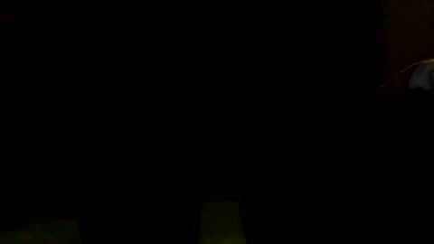 manubriox online show from November 16, 12:23 am