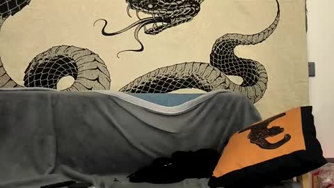 maodom online show from February 9, 9:39 pm