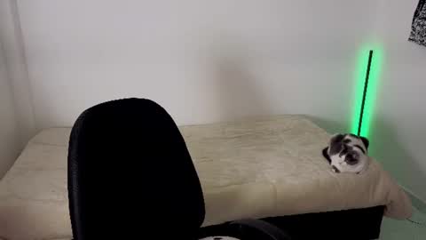 Maria online show from July 25, 2:20 am
