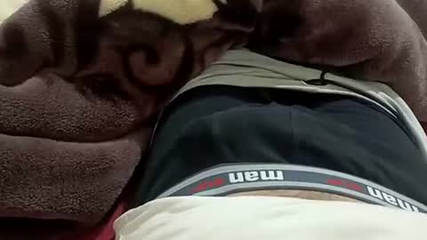 marocreda33 online show from January 30, 8:53 pm