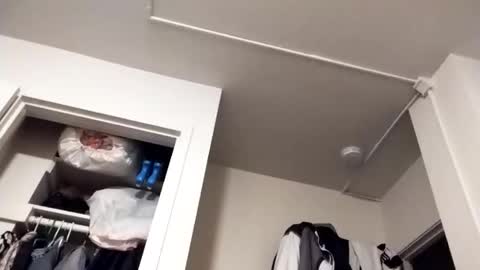 marty74841 online show from January 19, 3:49 am