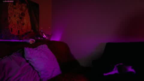     online show from July 23, 5:16 am