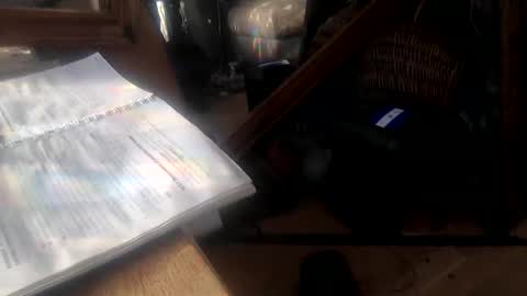 matureman1234 online show from March 14, 8:18 am