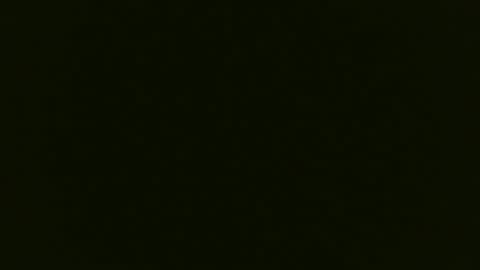 maybeyoushould online show from November 24, 8:02 am