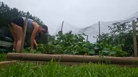 Mazey Rayne online show from July 28, 3:54 pm