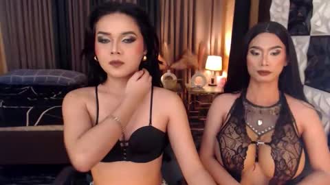 meatyhorsecocktrans online show from November 30, 10:44 am