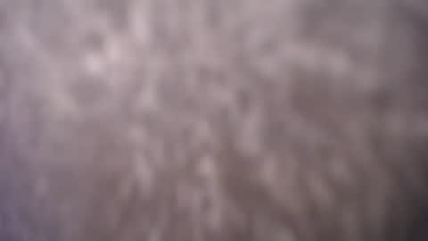 megannmilf online show from July 28, 5:02 pm