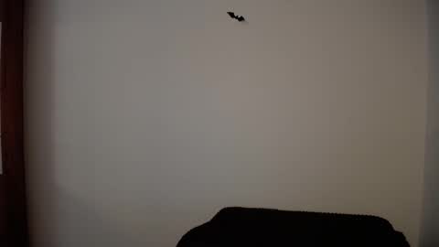 melisa online show from November 1, 6:18 pm