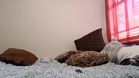 meowzers777 online show from December 15, 6:48 pm