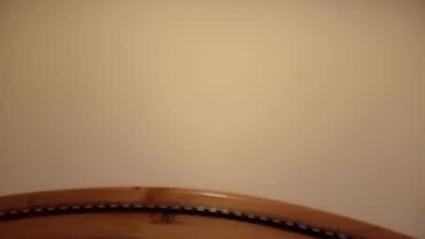 mhorny5 online show from September 14, 8:43 pm