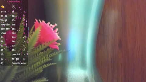 DEISY online show from February 24, 2:47 am