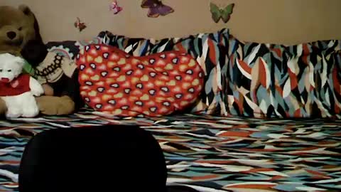 mia_rein online show from June 26, 6:30 am