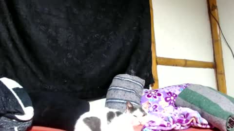 Mia  Sam online show from April 28, 1:58 am