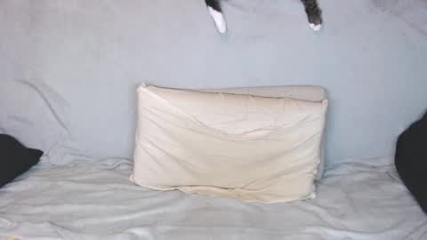 Michael online show from October 18, 8:24 pm