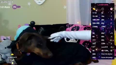 Snapshot of midnightpixie chatting on October 9, 2:28 am Jenna Talia online show from October 9, 2:28 am