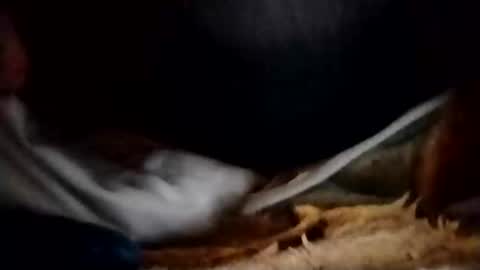 Mila 420 online show from February 9, 4:10 pm