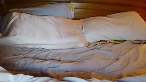 MilfyTitts online show from October 21, 1:38 pm