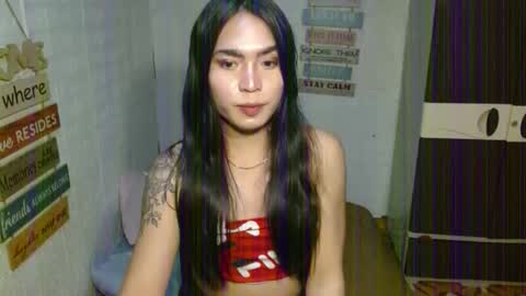 NEL 23 online show from November 12, 2:30 pm