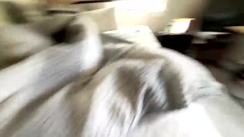 minigingersnap online show from May 14, 3:43 pm