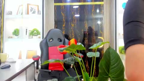 Miranda online show from November 21, 3:15 am