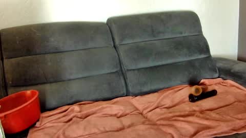 Snapshot of missdineslave chatting on January 19, 7:15 pm Missdineslave online show from January 19, 7:15 pm