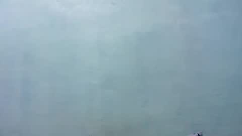 Merry online show from November 8, 8:17 am