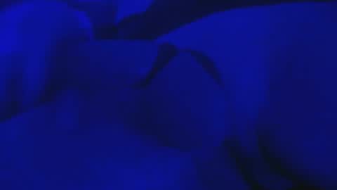 Mike Cho online show from October 4, 6:00 am