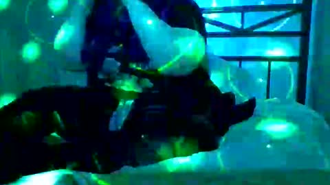 Mistresses Chambers online show from April 4, 3:24 am