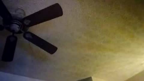 BobbyMitchGa online show from October 10, 8:20 am