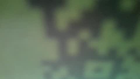 mito51 online show from September 9, 11:21 am