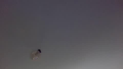 KinkyCoupleNL online show from December 2, 11:30 am