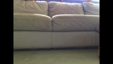 mookaite05 online show from March 3, 2:26 am