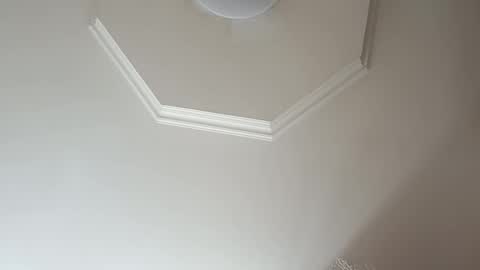 moos1 online show from March 3, 8:21 am