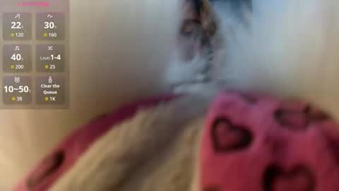 Morita online show from March 15, 4:06 am