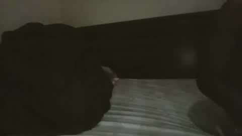 mr hooked online show from November 18, 4:04 am