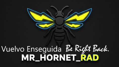 mr_hornet_rad online show from May 4, 1:17 pm