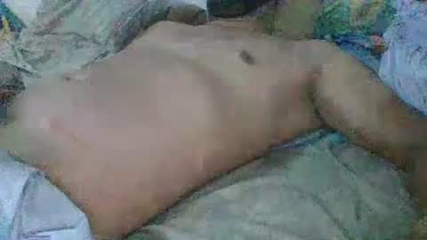 Gato online show from December 31, 8:23 pm