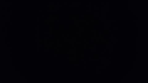 C online show from November 13, 11:13 am