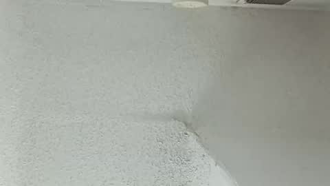 melissa online show from March 12, 4:49 am