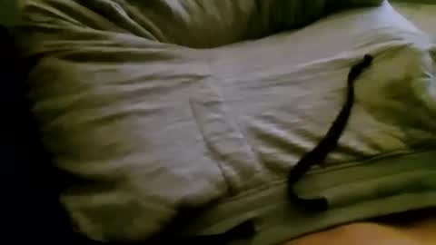 Snapshot of mslabwc95 chatting on October 7, 7:04 am mslabwc95 online show from October 7, 7:04 am