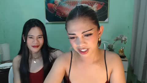 msmeygan online show from June 17, 3:28 pm
