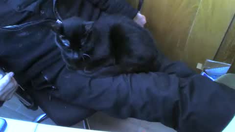 muller520 online show from February 25, 12:49 pm