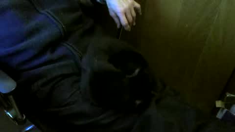 muller520 online show from March 2, 3:52 pm