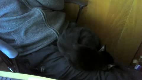 muller520 online show from March 9, 2:54 pm