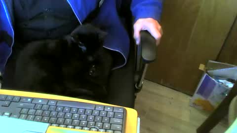 muller520 online show from February 26, 6:48 pm