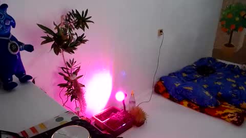 Muse Ali  online show from December 31, 5:18 pm