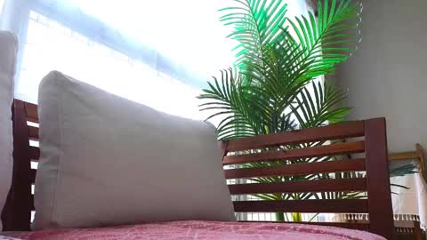 MySweetSofie online show from March 6, 12:00 am