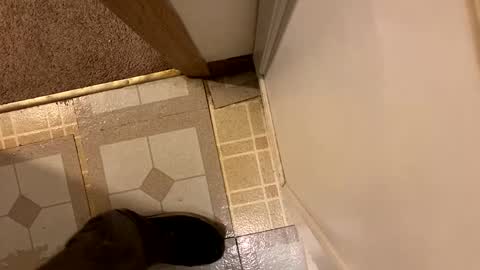 nairda2senoniuq online show from December 20, 12:08 am