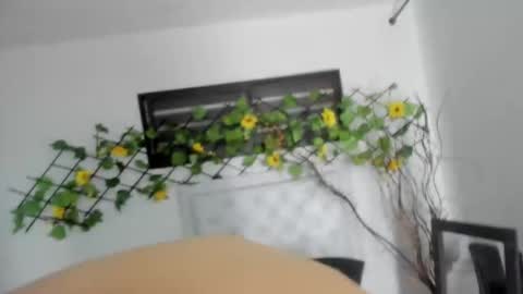 deibyd online show from September 29, 3:16 am